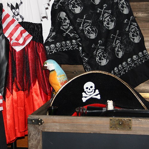 piraten kinderpartijtje Leiden