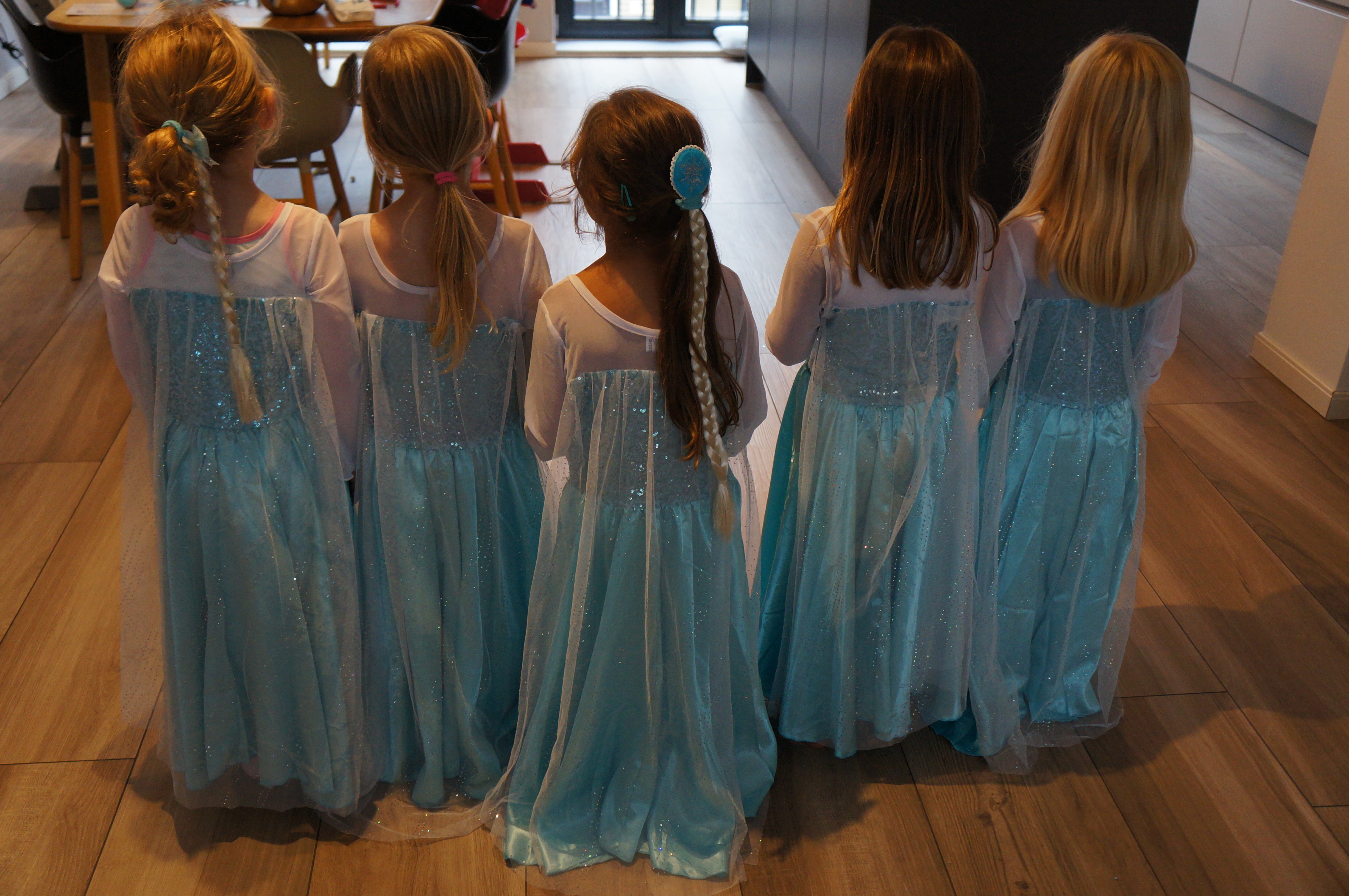 Frozen leiden themakist