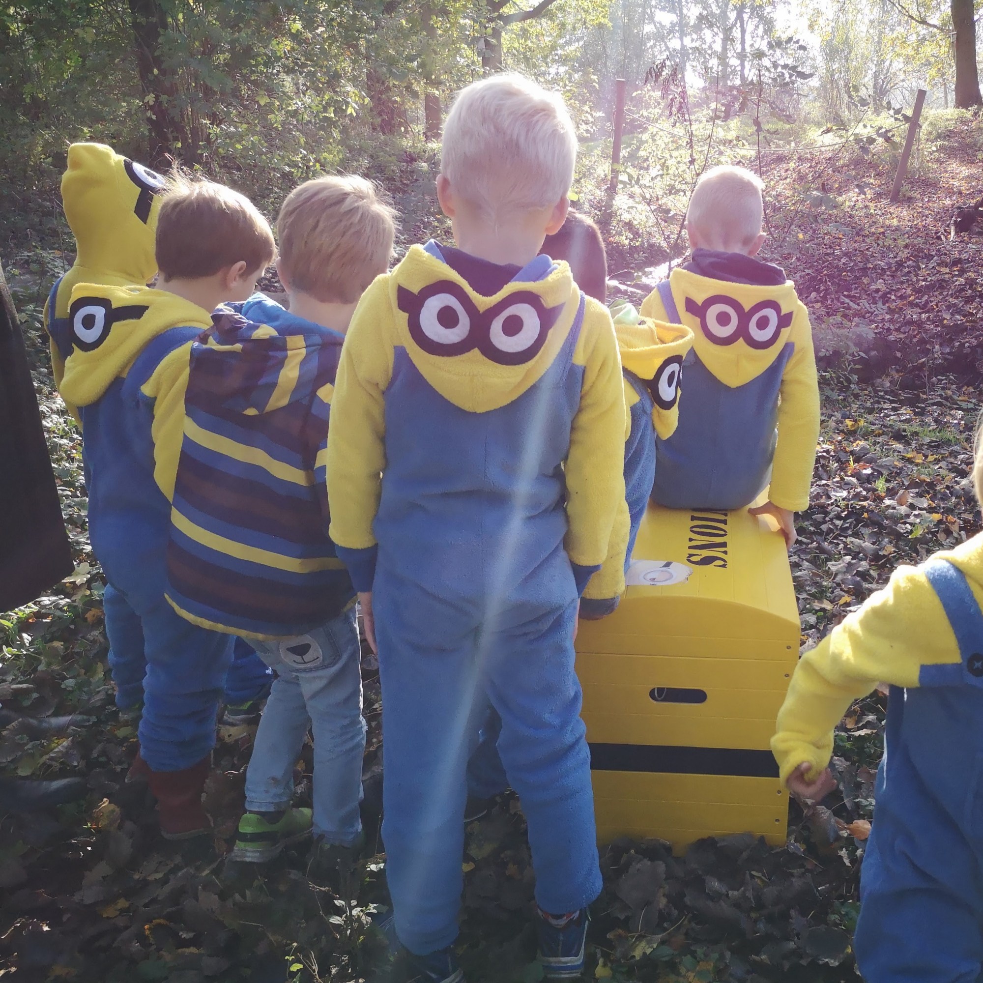 Minionsfeestje themakist
